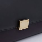 Celine Trapeze Bag Medium Tricolor Dunkelgrün Bordeaux Graublau