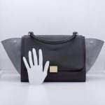 Celine Trapeze Bag Medium Tricolor Dunkelgrün Bordeaux Graublau