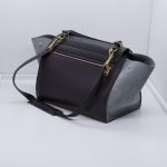 Celine Trapeze Bag Medium Tricolor Dunkelgrün Bordeaux Graublau