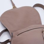 Chloe Marcie Medium Saddle Taupe Crossbody Bag