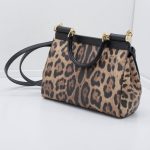 Dolce & Gabbana Leo Minibag