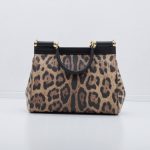 Dolce & Gabbana Leo Minibag