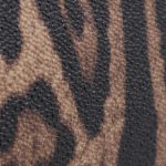 Dolce & Gabbana Leo Minibag