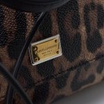 Dolce & Gabbana Leo Minibag