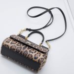 Dolce & Gabbana Leo Minibag