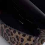Dolce & Gabbana Leo Minibag