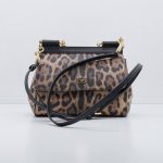 Dolce & Gabbana Leo Minibag