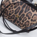 Dolce & Gabbana Leo Minibag