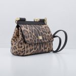 Dolce & Gabbana Leo Minibag