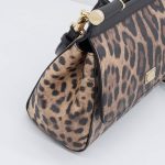 Dolce & Gabbana Leo Minibag