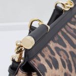 Dolce & Gabbana Leo Minibag