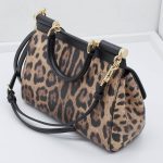 Dolce & Gabbana Leo Minibag
