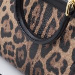 Dolce & Gabbana Leo Minibag