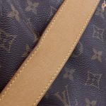Louis Vuitton Delightful PM Monogram Canvas Schultertasche