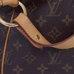 Louis Vuitton Delightful PM Monogram Canvas Schultertasche