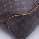 Louis Vuitton Delightful PM Monogram Canvas Schultertasche