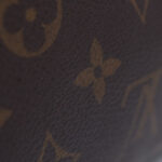 Louis Vuitton Speedy 35 bandouliere