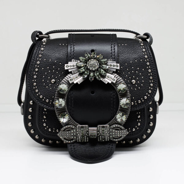 Miu Miu Dahlia Crystal Crossbody Bag 3 Miu Miu Dahlia Crystal Crossbody Bag 3