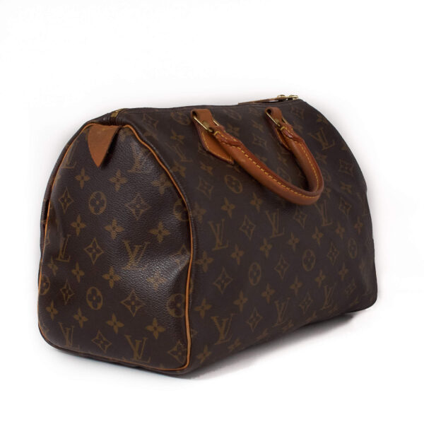 Louis Vuitton Speedy 30 Monogram 1