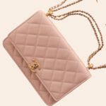 Chanel Wallet on Chain Rosa GHW WOC